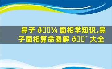 鼻子 🌼 面相学知识,鼻子面相算命图解 🐴 大全